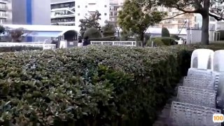 星空传媒视频在线观看星空手机在线免费播放🔞中文字幕一区二区三区...